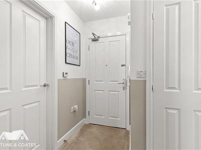 Picture 7